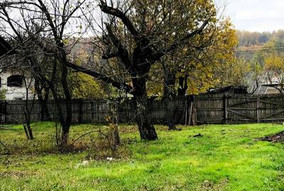 Teren intravilan 1570 mp in sat Magura (Hulubesti), Dambovita, deschidere 31ml - 5
