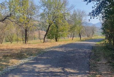 Teren de 4780 mp, în Fornădia - 2