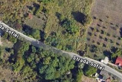 Teren Construcții intravilan de 3400 mp, în Dealuri Oradea - 1