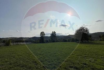 Teren Manastirea Humorului / Strada Principala 22,238 MP - 9