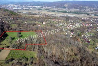 Teren 13.643 mp intravilan de vanzare in Curtea de Arge?. - 3