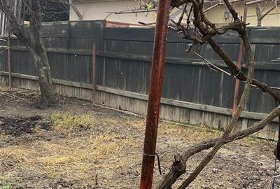 Casă individuală cu 3 camere cu Teren 264 Mp în Apollo - 4