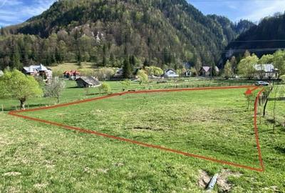 Teren panoramic insorit, utilitati, panta mica si padure, turism sau vacanta - 7