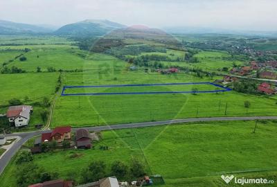 Teren de 6956 mp, în Brăișoru - 2