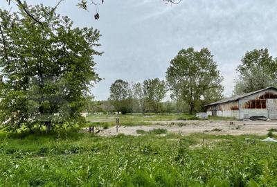 Oportunitate! Teren intravilan 3 hectare, Bals - 9