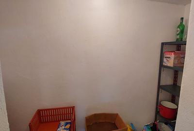 Casă individuală de vânzare, 4 camere, 130 mp, zona Platinia/USAMV - 16