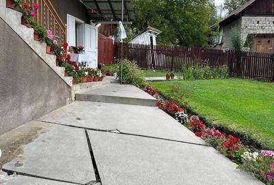 Casă cu 3 camere cu Teren 6600 Mp în Nădăștia - 4