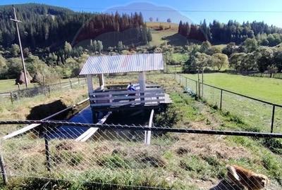 Casa in Vatra Dornei, zona Argestru, cu 11.541m.p. TEREN INTRAVILAN - 19