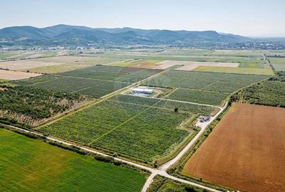 Teren de 27720 mp, în Vest - 15