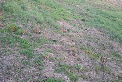 Teren de 2422 mp, în Șumugiu - 2