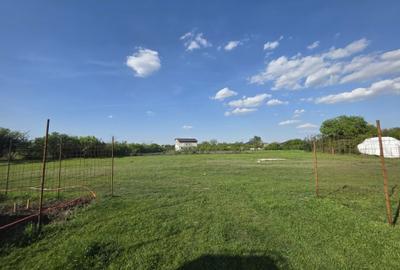 Spațiu comercial, în Central - 1