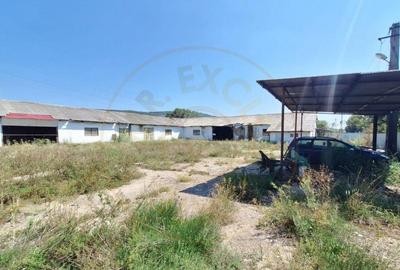 Proprietate industriala de vanzare Hartiesti, jud. Ar - 6