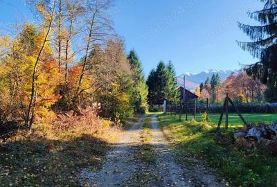 Teren de 800 mp, în Central