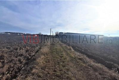 Otopeni - Strada Alexandru Ioan Cuza - 4