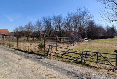 Spațiu comercial, în Stupinii Prejmerului - 3