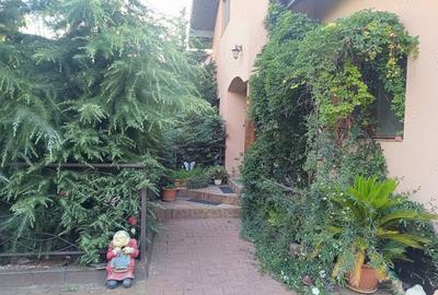 Vand Casa cu Service Auto Hala depozitare in Utvin - 1