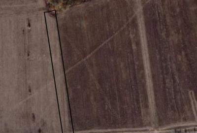 Vanzare teren Sabareni, 5.000 mp, langa Padurea de Tei - 1