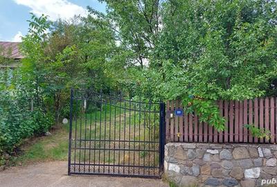 Casă cu 6 camere cu Teren 4500 Mp în Brebu - 7