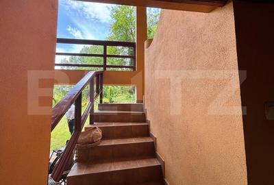 Vila de vanzare, cu 4 camere, 320 mp, zona Șuvita - 18