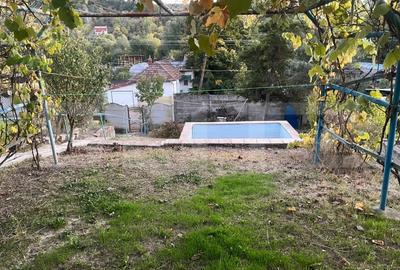 Casa cu piscina P+M, 1.368 mp teren,  Leamna de Sus - 3