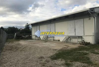 HALA CU MULTIPLE ACTIVITATI I 265 MP I TEREN 608 MP I Alba Iulia I - 4