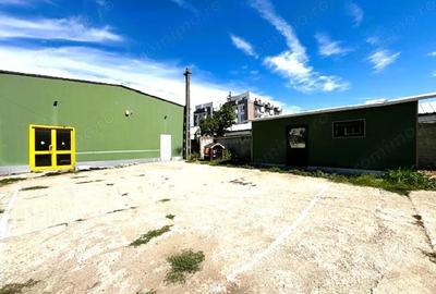 Hale in Slatina,str General Aurel Aldea si 1433 mp teren - 10