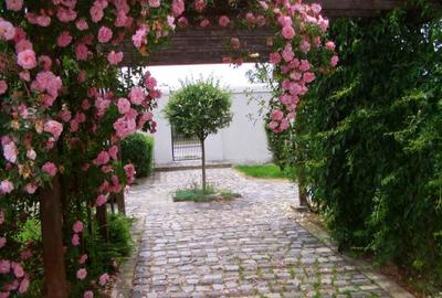 Casă cu 3 camere în Dănești - 4