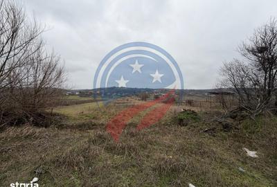 Teren de 1318 mp, în Coțofenii din Față - 3
