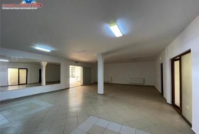 Spatiu de zona ultracentrala Tulcea - 13