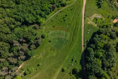 Teren agricol extravilan de 1375 mp, în Cristian - 7