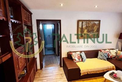 Apartament 2 camere decomandat cu balcon, renovat complet, Terezian - 4