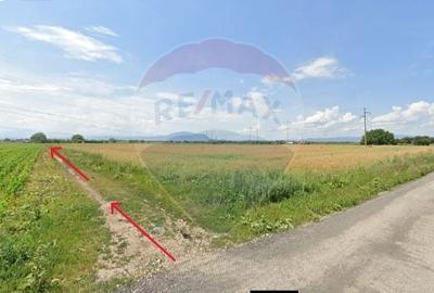Teren de vanzare 4,300mp Sanpetru / Strada George cosbuc - 5