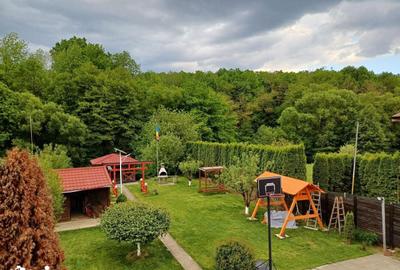 Casă cu 6 camere cu Teren 1629 Mp în Plopu - 8