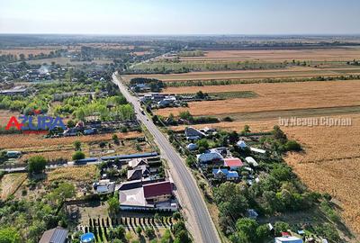 Teren Construcții intravilan de 7976 mp, în Crângurile - 14