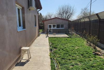 Casa de vacanta | Curte | Teren | Belciugatele | Calarasi - 30