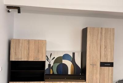 Apartament cu 2 camere semidecomandat în Drumul Taberei - 14