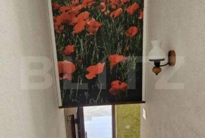 Casă cu 4 camere cu Teren 750 Mp în Hunedoara - 11