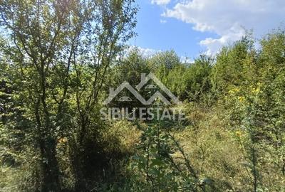 Teren  construibil ,la sosea, intre Vale si Sibiel, zona cu potential - 8