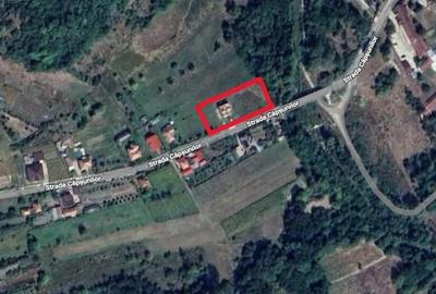 Casă în Firești - 8