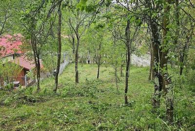 Teren de 800 mp, în Borzești - 3