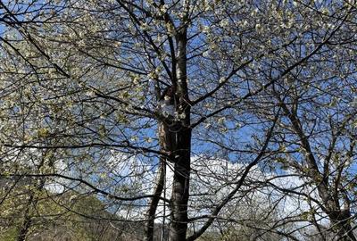 Teren de 3001 mp, în Bran - 2