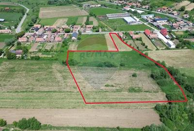 Teren de 15360 mp, în Blăjel - 11