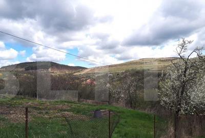 Teren de 800 mp, în Central - 14