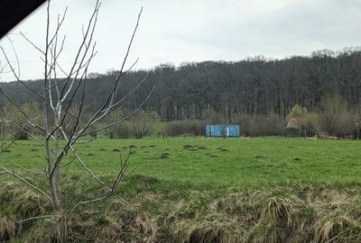 Teren Rasinari Co-proprietar teren 5000m - 3