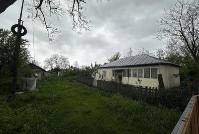 Casă cu 3 camere cu Teren 1300 Mp în Tudor Vladimirescu - 9