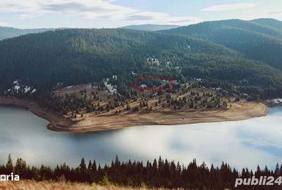 Teren de 10000 mp, în Beliș - 2