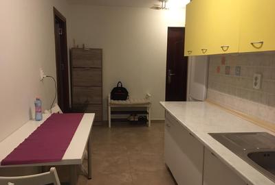 Colentina -Rascoala 1907 - 8