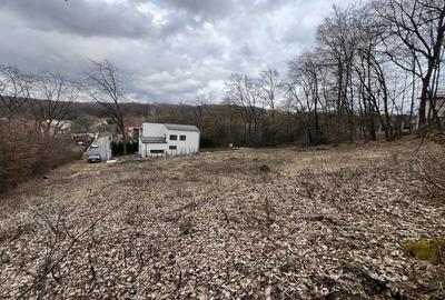 Spațiu comercial, în Făget - 5