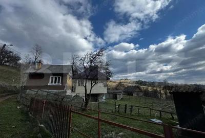 Casa la munte, teren 8324 mp, anexe, zona comuna Bucium - 1