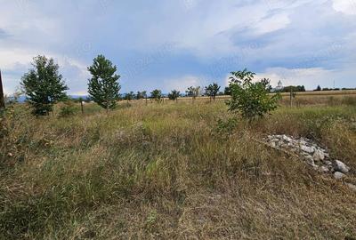 Casă cu 4 camere cu Teren 2000 Mp în Costișa - 7